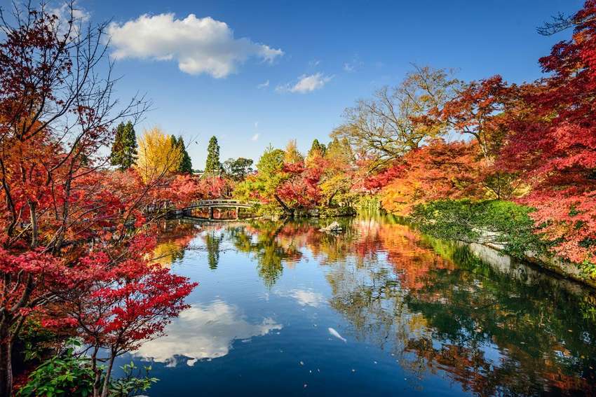 Kyoto