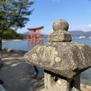 Alleen op pad in Japan.  Anoniem, mei 2025