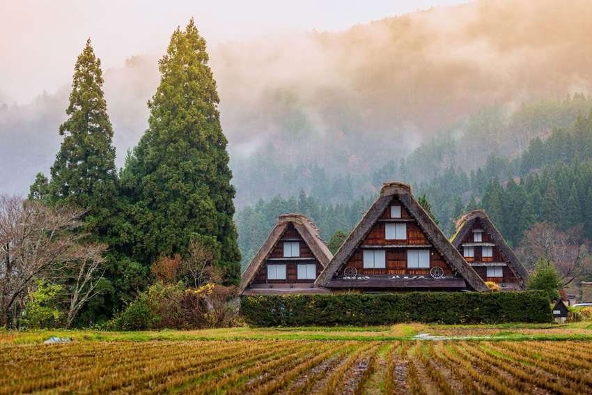 Shirakawago